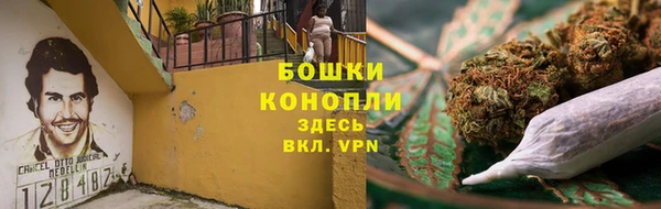 прущие грибы Богородск