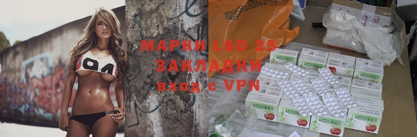 гашиш Богданович