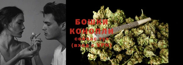 прущие грибы Богородск