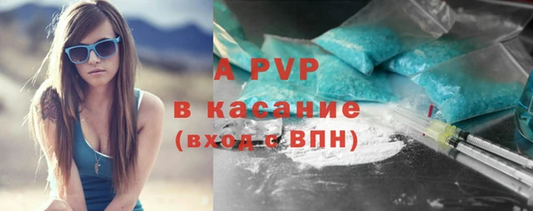 гашиш Богданович