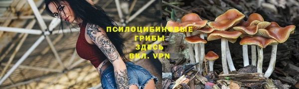 МДМА Богородицк